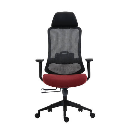 Flex Yönetici ve Ofis Koltuğu-File Kumaş-Koyu Kırmızı 66,5x124,5-134,5x56 cm (GxYxD) - 2