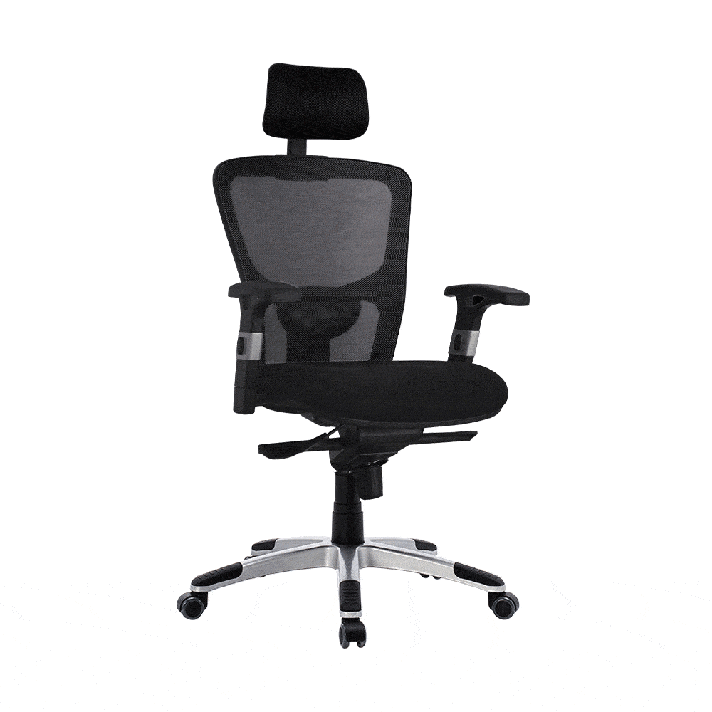 Manager Techno File Sırtlı Ofis Koltuğu-Siyah 62x120-127x59 cm (GxYxD) - 2