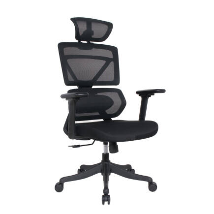Pro-Tech Ultra Ergonomik Yönetici ve Çalışma Koltuğu - Siyah 70x113-124x69 cm