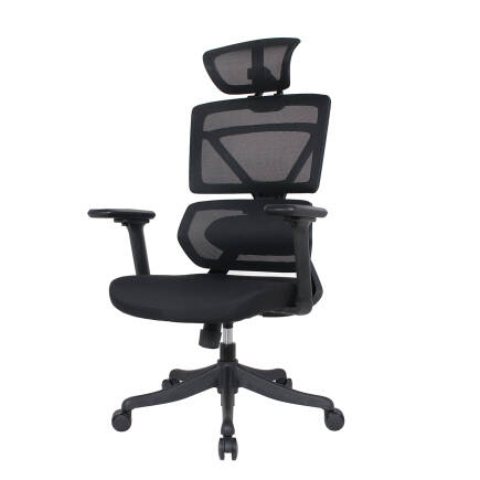 Pro-Tech Ultra Ergonomik Yönetici ve Çalışma Koltuğu - Siyah 70x113-124x69 cm - 9