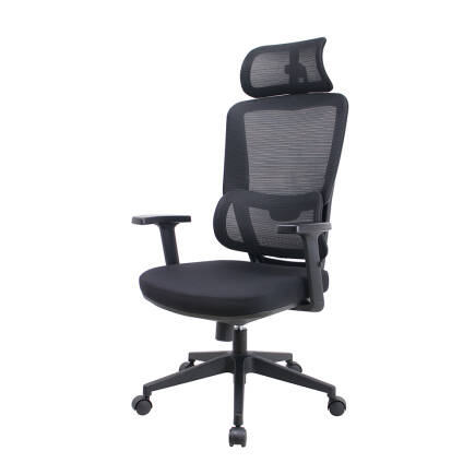 Reflex Full Ergonomic Yönetici ve Çalışma Koltuğu File Kumaş - Siyah 64x123-133x65 cm - 3