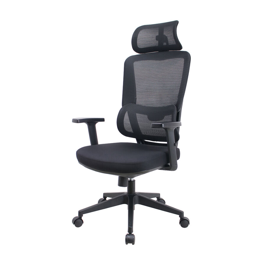 Reflex Full Ergonomic Yönetici ve Çalışma Koltuğu File Kumaş - Siyah 64x123-133x65 cm - 3
