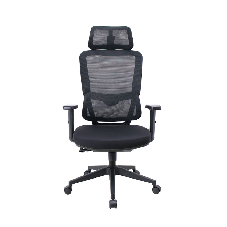 Reflex Full Ergonomic Yönetici ve Çalışma Koltuğu File Kumaş - Siyah 64x123-133x65 cm - 2