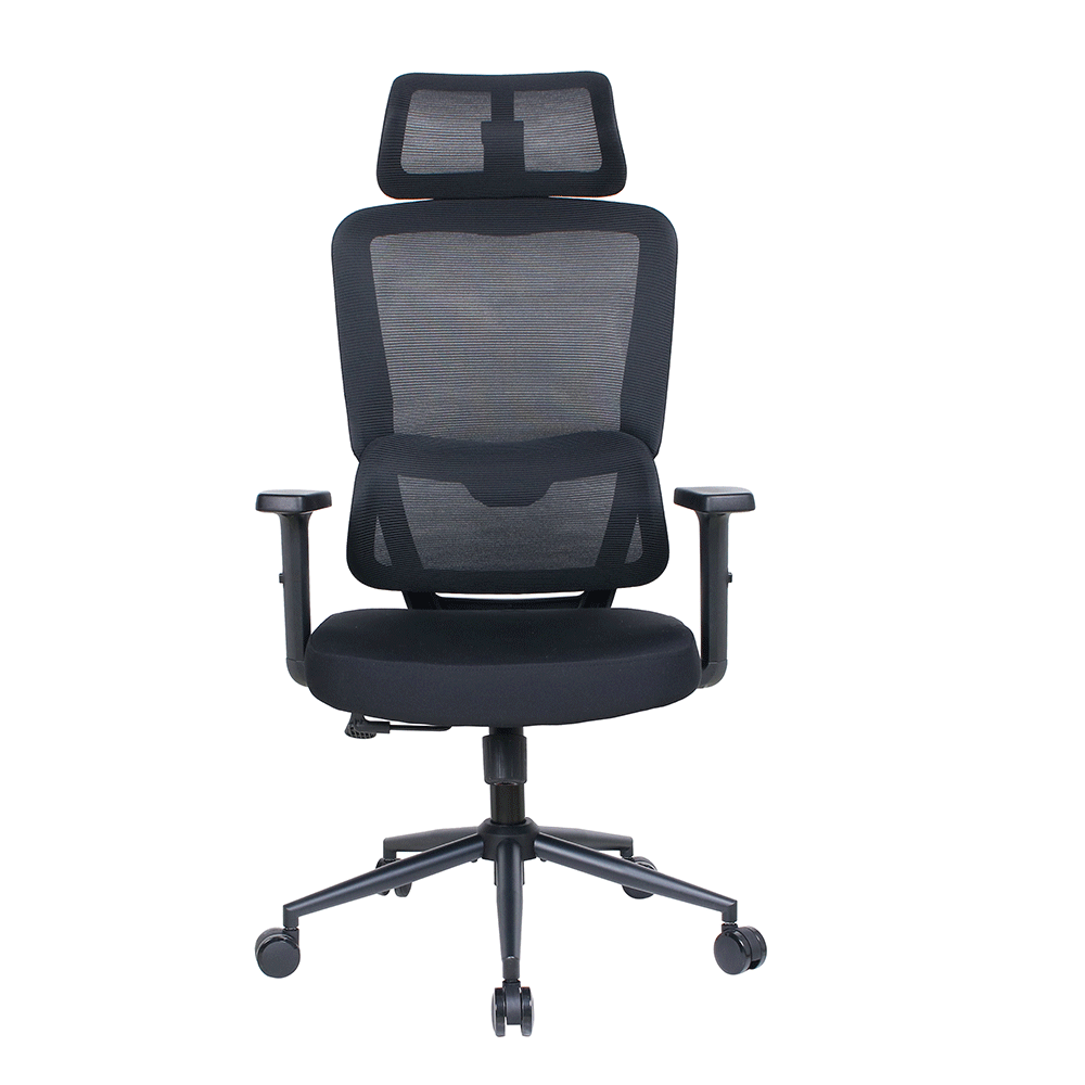 Reflex-S Full Ergonomic Yönetici ve Çalışma Koltuğu File Kumaş - Siyah 66x124-134x-74 cm - 2