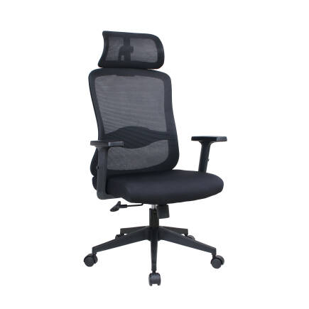 Tempo Ergonomik Yönetici ve Çalışma Koltuğu - File/Siyah 64x116-126x66 cm - Adore Mobilya