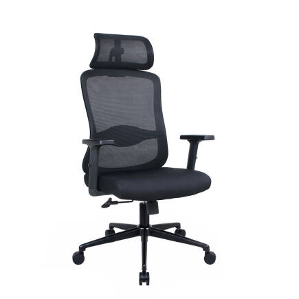 Tempo-X Ergonomic Yönetici ve Çalışma Koltuğu - File Siyah 68x116-126x66 cm