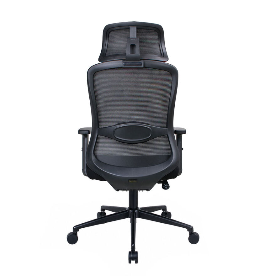 Tempo-X Ergonomic Yönetici ve Çalışma Koltuğu - File Siyah 68x116-126x66 cm - 6