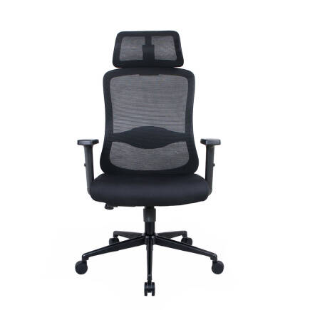 Tempo-X Ergonomic Yönetici ve Çalışma Koltuğu - File Siyah 68x116-126x66 cm (1)