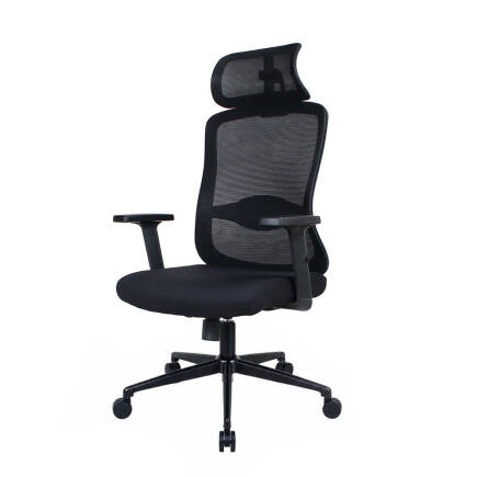 Tempo-X Ergonomic Yönetici ve Çalışma Koltuğu - File Siyah 68x116-126x66 cm - 9