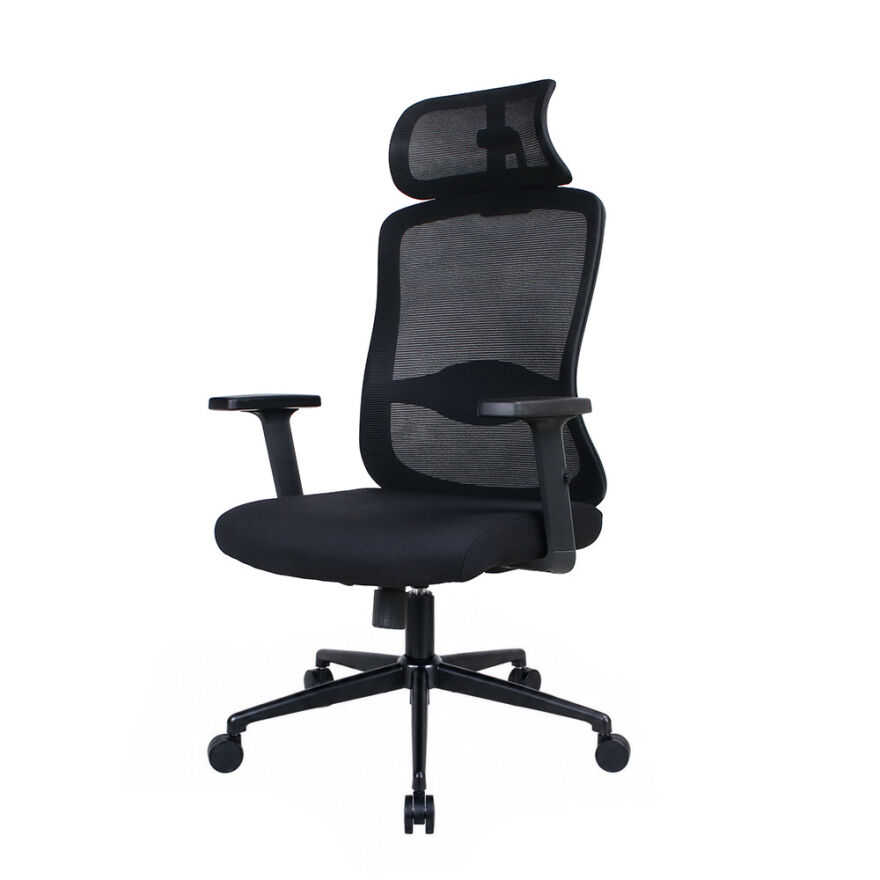 Tempo-X Ergonomic Yönetici ve Çalışma Koltuğu - File Siyah 68x116-126x66 cm - 9