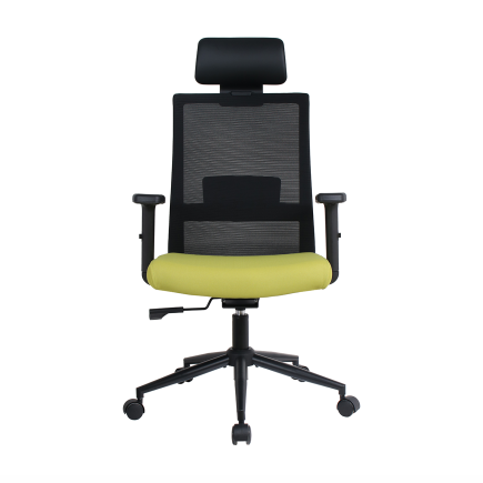 Vera Flex Multi Fonksiyon Çalışma Koltuğu - Siyah/Yeşil 63x117-127x67 cm (1)